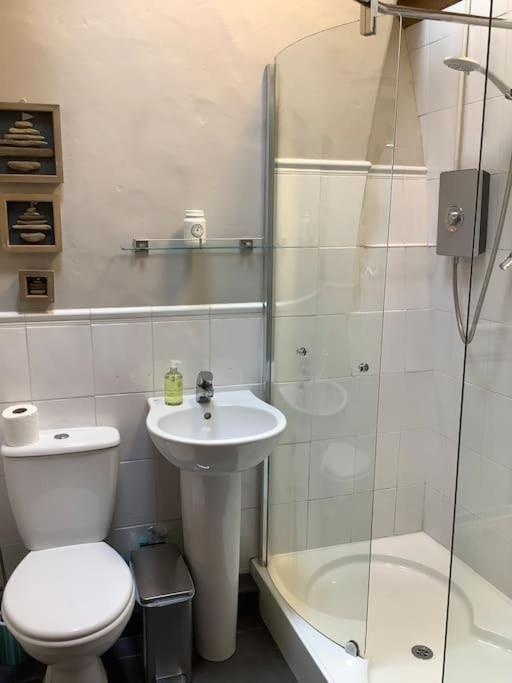 Apple Tree Corner Villa Blaenporth Ngoại thất bức ảnh